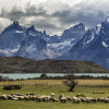 Отель Awasi Patagonia, фото 10