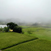 Отель Yelagiri Farm House, фото 9