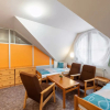 Отель Apartment Lanovka Jachymov 40181, фото 15