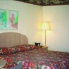 Отель Red Carpet Inn Rome, фото 3