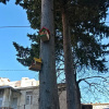 Отель Sakhli at Chavchavadze ave 15, фото 1