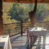 Отель Woodlands Game Lodge Leisure, фото 13