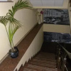 Отель Leon Hotel, фото 9