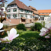 Отель Ritter Durbach, фото 1
