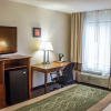 Отель Comfort Inn, фото 5