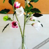 Отель Chengsi Sherlock Garden Guesthouse, фото 11