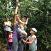 Отель Huella Verde Rainforest Lodge, фото 14