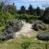 Отель Masseria Carparelli, фото 18