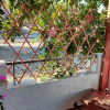 Отель Lily's House Near the Beach (Adults Only), фото 10