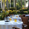Отель Casa Velas Adults Only All Inclusive, фото 40