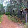 Отель Centro Ecoturístico Cabañas Llano Grande, фото 25