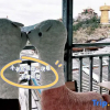 Отель Wangyu Building Rose House Inn, фото 10