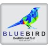 Отель BlueBird Bed and Breakfast, фото 26