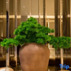Отель JI Hotel Shanghai Qingpu Injoy Square, фото 22