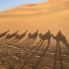 Отель Bihi Desert Camp, фото 19