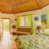 Отель Beaches And Dreams Boutique Hotel в Хопкинсе