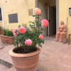 Отель La Fornace Bed & Breakfast, фото 5
