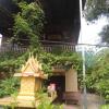 Отель Palm Homestay by Living Cambodia в Пуок