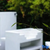 Отель Moganshan Yishan Yishui Designer Homestay, фото 14