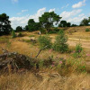Отель B&B Bosheide, фото 8