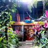 Отель Casa Jungla Hostel, фото 22
