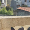 Отель Douro Dreams Guest House, фото 14