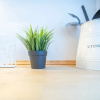 Отель Apartamento Albatros suite, фото 16