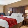 Отель Comfort Inn Williamsport, фото 25