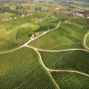 Отель Wine Grower's Mansion Zlati Gric, фото 27