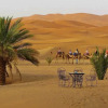 Отель Auberge Hôtel Porte De Sahara Ouzina, фото 24