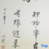 Отель Qiaopan Guesthouse, фото 5