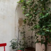 Отель Feels Like Home - Santa Catarina Terrace, фото 8