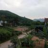 Отель Phong Nha Dawn Homestay, фото 7
