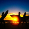 Отель The Flying Pig Beach Hostel, фото 14
