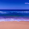 Отель The Beach Retreat Eden, фото 15