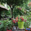 Отель Yimi Sunshine Boutique Hotel (Xichang Qionghai Wetland Park), фото 5