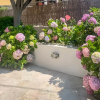 Отель Hortensia House, фото 1