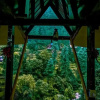 Отель The Hostalgic Jibhi - Hostel, фото 7