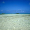 Отель Chesters Bonefish Lodge, фото 9