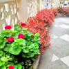 Отель Andino Real, фото 47