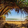 Отель Lotus Beach House, фото 7