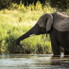 Отель Marataba Mountain Lodge, фото 19