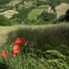 Отель Il Monte, фото 14