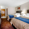 Отель Comfort Inn & Suites, фото 4