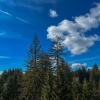 Отель Room 424 - Cozy Mountain Studio in Poiana Brasov, фото 1
