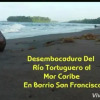 Отель Cabinas Tortuguero, фото 22
