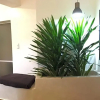 Отель Galu 723-Private Ocean Club, фото 3