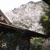 Отель Ryokan Hanareya Ishidaya, фото 15