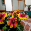Отель Hostal Azahara, фото 17