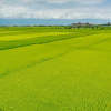 Отель Wudai Homestay, фото 24